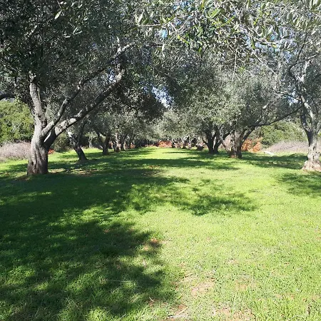 Galius 2 * 우글랸